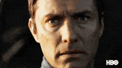 Jude Law Burn GIF by HBO