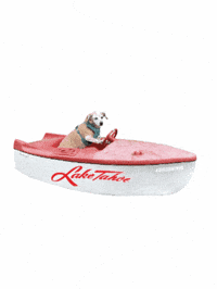 Lake Tahoe GIF by OfficialGenius