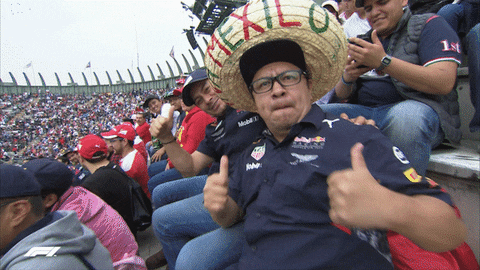 Excited Lets Go GIF by Formula 1