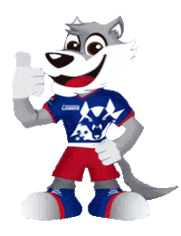 Lobosapostolica lobos somoslobos lobosapostolica apostolicaslp Sticker