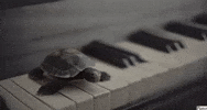Piano Clubhouse GIF by Gallery.fm