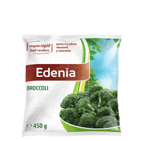 Broccoli Sticker by Edenia