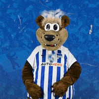 Bundesliga Berlin GIF by Hertha BSC