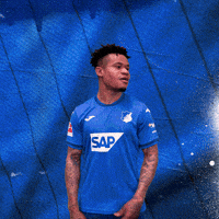 Sport Bundesliga GIF by TSG Hoffenheim
