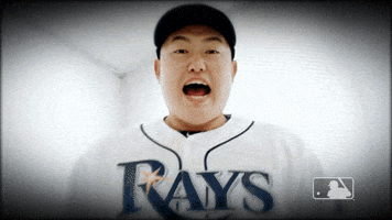 Excited Tampa Bay Rays GIF by MLB
