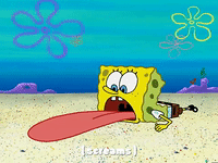 season 3 krabby land GIF by SpongeBob SquarePants