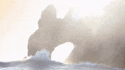 los cabos mexico GIF by Dolphin Discovery