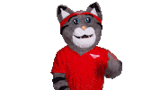 No Way Thumbs Down Sticker by World TeamTennis