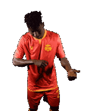 Rfc1913 Sticker by Ravenna Football Club 1913 Spa