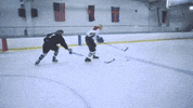 happy ice rink GIF by Epitaph Records