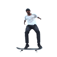 skate skateboarding Sticker by Titus