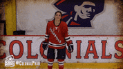 ice hockey fun GIF by Robert Morris University Athletics