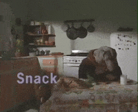 Looking Good William Wegman GIF by Jason Clarke