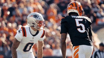 Football Stare Down GIF by New England Patriots