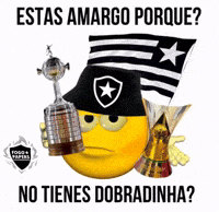 Libertadores Vasco GIF