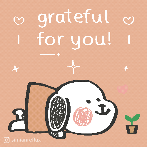Cartoon gif. A white cartoon puppy with black ears in a pink dress lays on her belly and stares wistfully at a small potted plant. Heart and star motifs dance around the words "grateful for you."