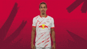 Yussuf Poulsen Shrug GIF by RB Leipzig