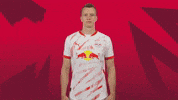 Lukas Klostermann Shrug GIF by RB Leipzig