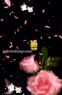 Salud Felicidad GIF by Murcianys LLC