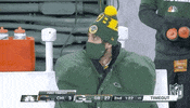 National Football League GIF by NFL