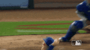 Major League Baseball Sport GIF by MLB