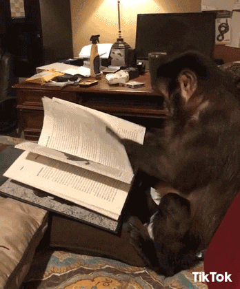 read documents