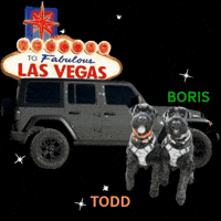 Boris Dog GIF