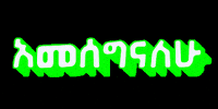 Yikunea happy thank you thanks ethiopia GIF