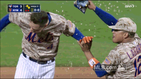 flores seeds GIF by MLB
