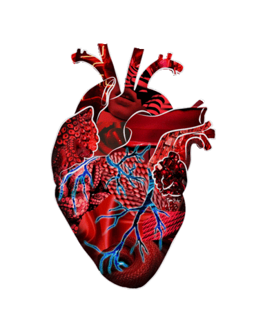 heart beat love Sticker by Tyler Resty