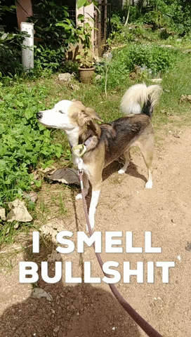 Charlieole  GIF