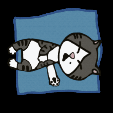 irene_hsyu giphygifmaker giphygifmakermobile cat sleep GIF
