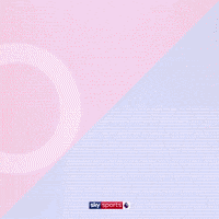 Goal Epl GIF by skysports