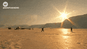 dance news GIF by NowThis 