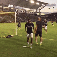 lavclb GIF by LA Galaxy