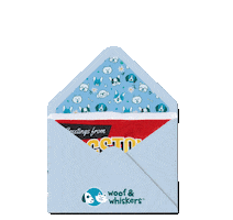 woofandwhiskerspet letter envelope postcard heb Sticker