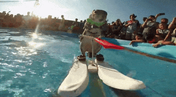 GIF by Mashable