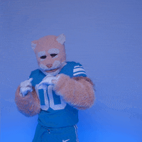 Byu Football Sport GIF by BYU Cougars