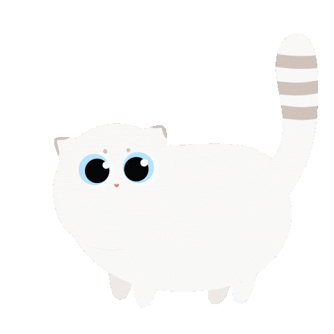 qsera giphyupload cat kitten meow Sticker