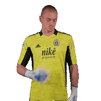 Football Soccer Sticker by Fortuna Liga
