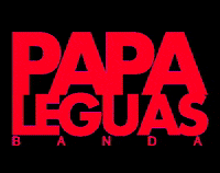 bandapapaleguas carnaval bahia salvador carnaval de salvador GIF