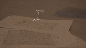 GIF by UnionDocs