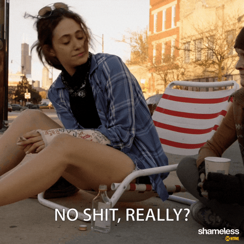 Episode 8 Showtime GIF by Shameless