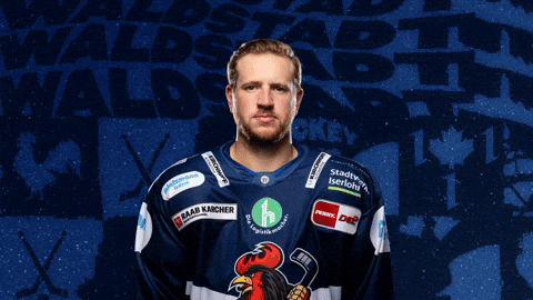 Goal Hockey GIF by Iserlohn Roosters