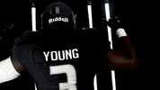 Old Dominion Sport GIF by ODU Football