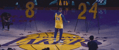 Basketball GIF by NBA on ESPN