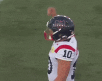 Montreal Celebrates GIF