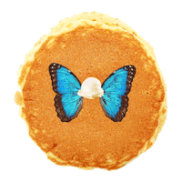 breakfast butterfly Sticker by Welcome! At America’s Diner we pronounce it GIF.