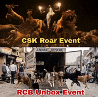 Ipl GIF