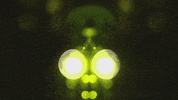 Art Video GIF by jorgemariozuleta